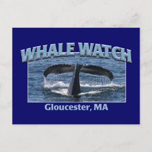 Whale Watch Postcard