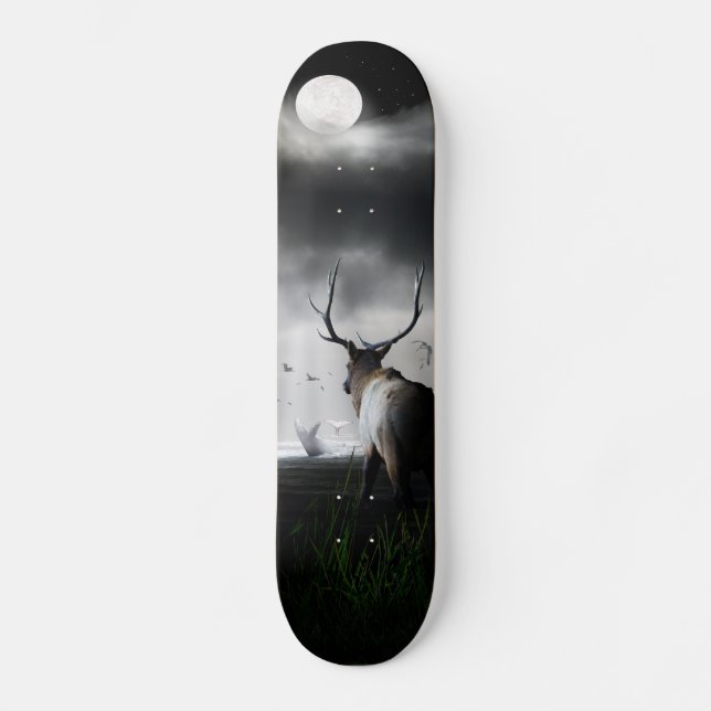 Whale Watch Skateboard Deck (Front)