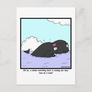 Whale Watching: Whale Cartoon Postcard