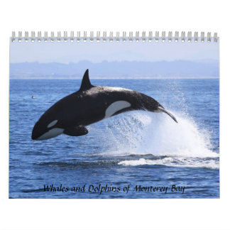 Whales and Dolphins of Monterey Bay Calendar