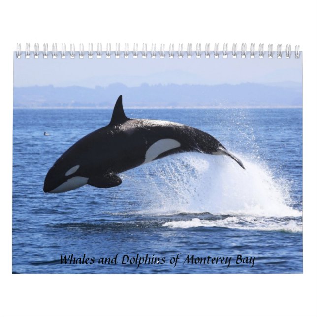 Whales and Dolphins of Monterey Bay Calendar (Cover)