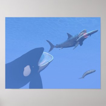Whales And Megalodon Underwater - 3d Render Poster by Elenarts_PaleoArts at Zazzle