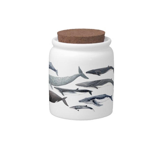 Whales and right whales candy jar (Front)