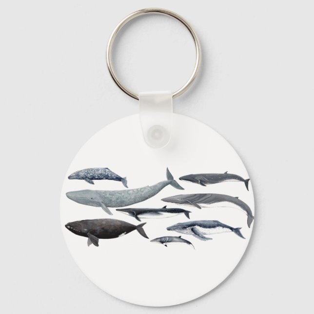 Whales and right whales keychain (Front)