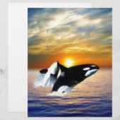 Whales at sunset (Front/Back)