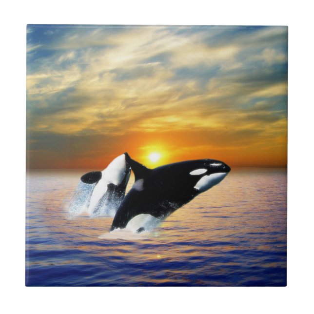 Whales at sunset ceramic tile (Front)