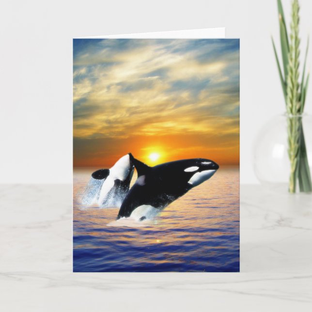 Whales at sunset holiday card (Front)