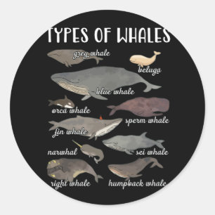 Whales Cute Ocean Mammals Guide Classic Round Sticker