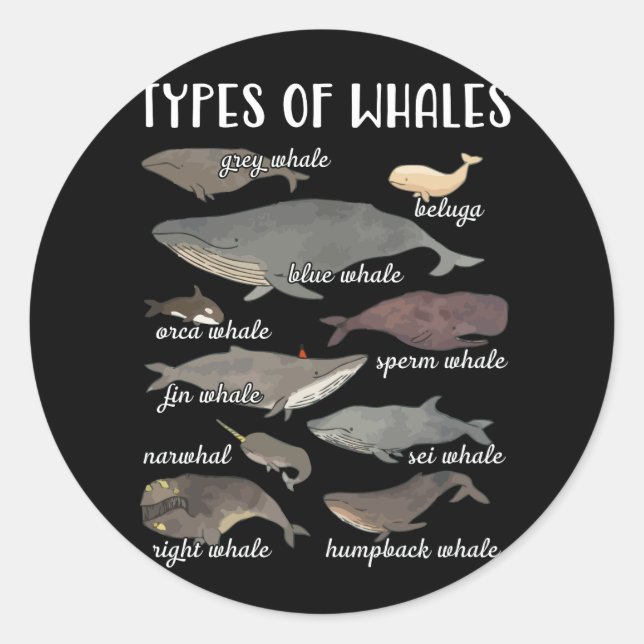 Whales Cute Ocean Mammals Guide Classic Round Sticker (Front)