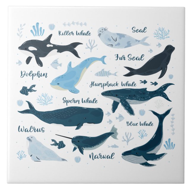 Whales & Marine Life Ocean Graphic Design Ceramic Tile (Front)