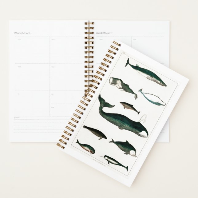 Whales Ocean Sea Water Orca Planner (Display)