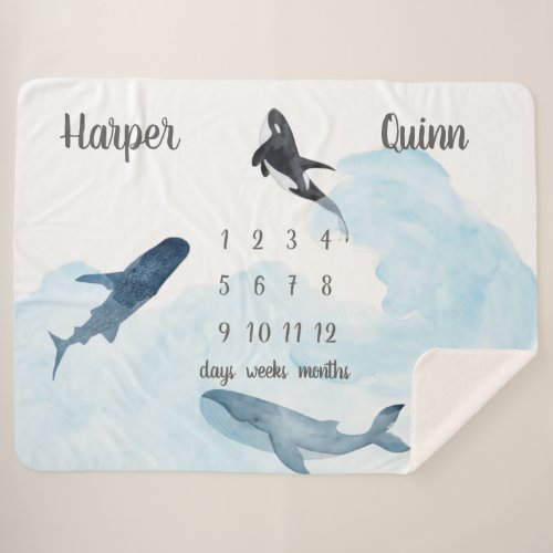 Whales Ocean Twins Milestone Sherpa Blanket