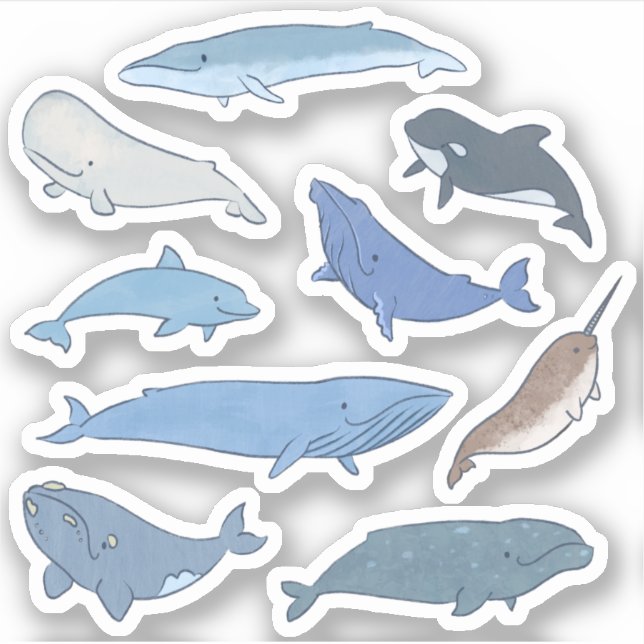 Whales of the World Sticker (Front)