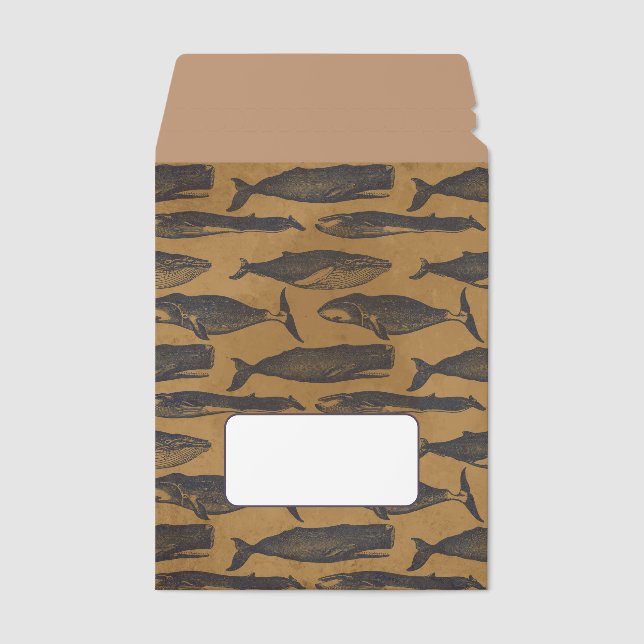 Whales Parade Envelope Mailer (Front)