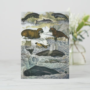Whales, Seals and Walruses, Vintage Marine Animals Invitation