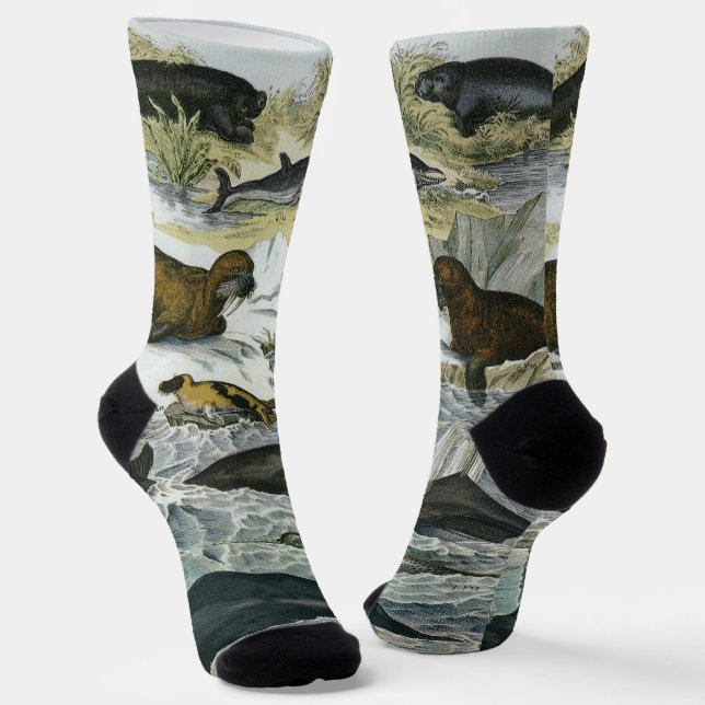 Whales, Seals and Walruses, Vintage Marine Animals Socks (Angled)