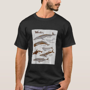 Whales Species Whale Sea Mammals Marine Mammal Orc T-Shirt