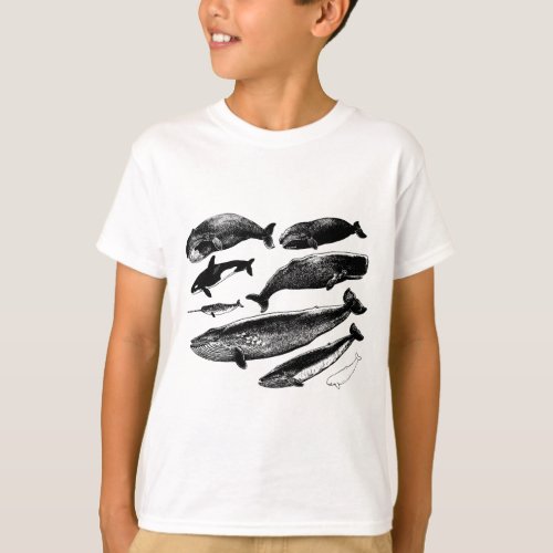 whales T_Shirt