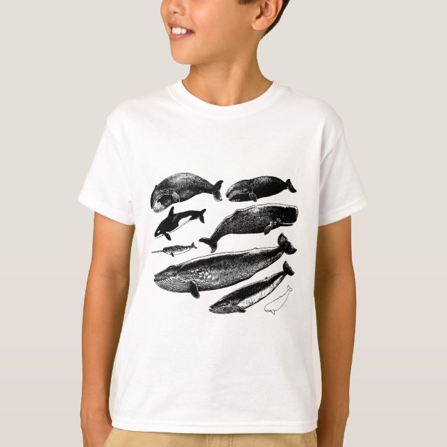 whales T-Shirt (Front)