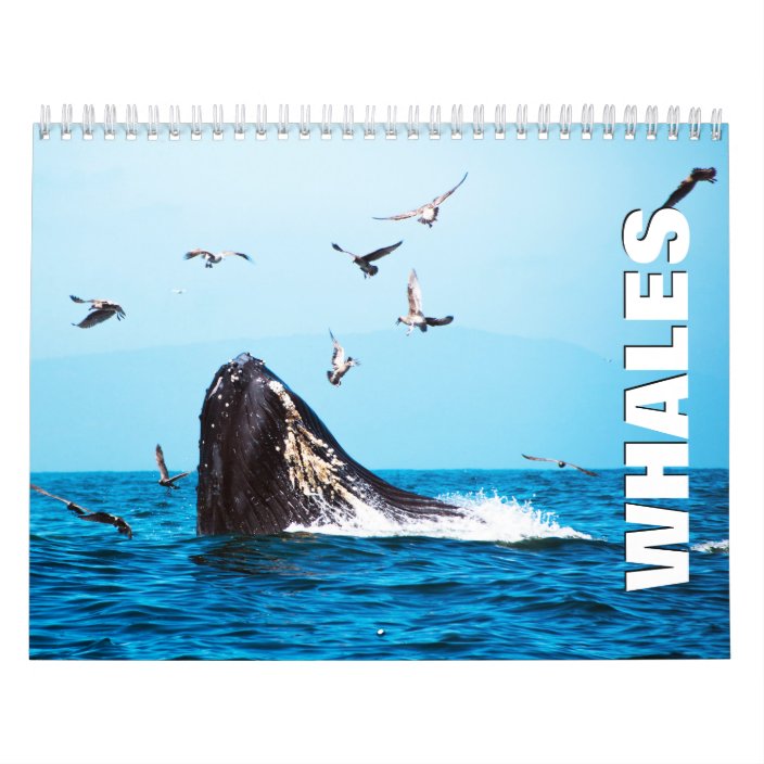 Whales Wall Calendar