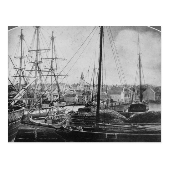Whaling Port, New Bedford Postcard