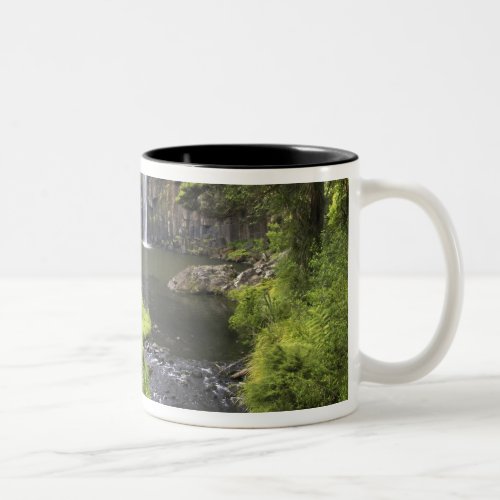 Whangarei Falls Whangarei Northland New 2 Two_Tone Coffee Mug