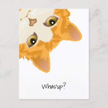 Whas'up Orange Upside Down Cat Invitation by ArtDivination at Zazzle