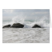 what a beautiful day (Front Horizontal)