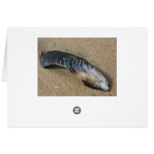 what a beautiful day (Back Horizontal)