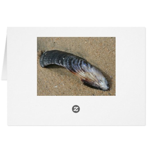 what a beautiful day (Back Horizontal)