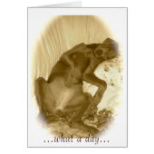 ...what a day... (Front)