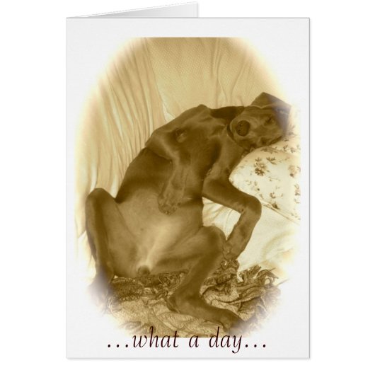 ...what a day... (Front)