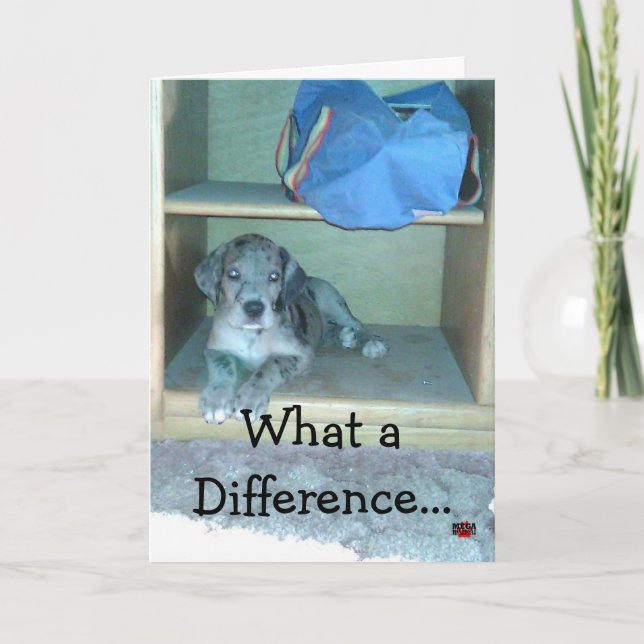 What a Difference A Year Makes!!!! Card (Front)