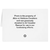 What a Face (Back Horizontal)