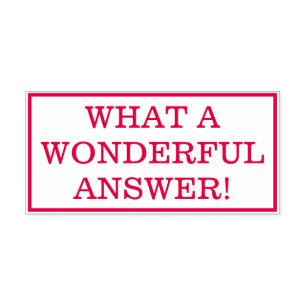 "WHAT A WONDERFUL ANSWER!" Grading Rubber Stamp