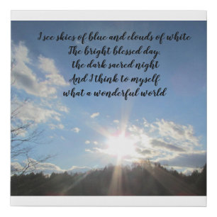 What a wonderful world canvas print