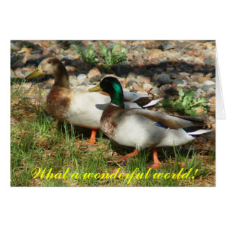 What a wonderful world! cards