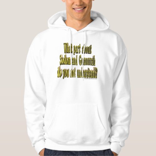 What about Sodom  Gomorrah do you not understand Hoodie