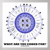 【貴重！！】Loz'a≠Veria（ロズ・ア・ベリア）／genetic code Genetic Code For Amino Acids (Chart Wheel) Poster | Zazzle