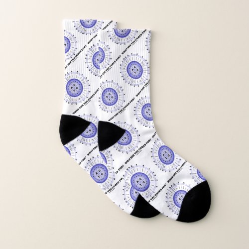 What Are You Coded For Amino Acid Wheel Socks