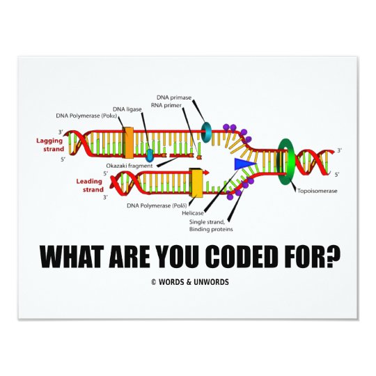 What Are You Coded For? (DNA Replication) Card