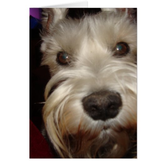 What are YOU Looking At? (Front)