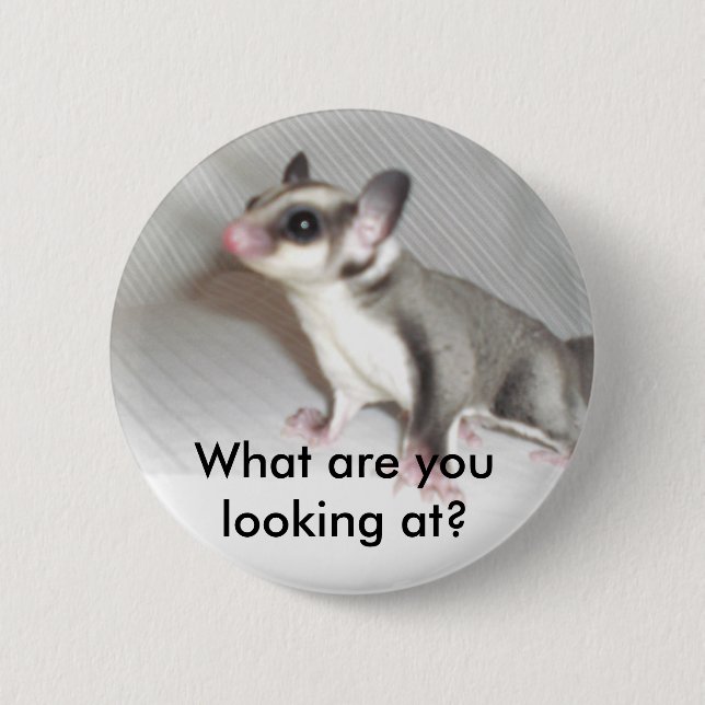 What are you looking at? button (Front)