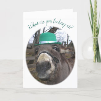 "What are you looking at?" Card