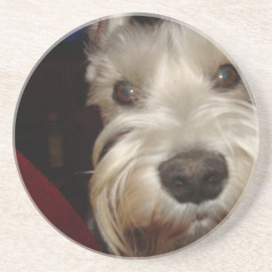 What are YOU Looking At? Coaster