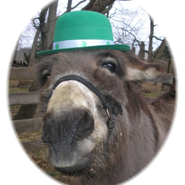 "What are you looking at?" Poker Cards (Creator Uploaded)