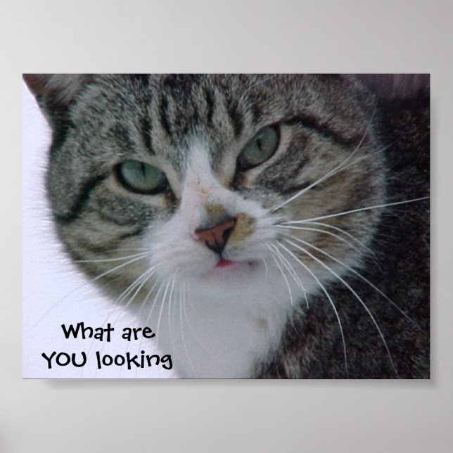 What are YOU looking at?!? Poster (Front)