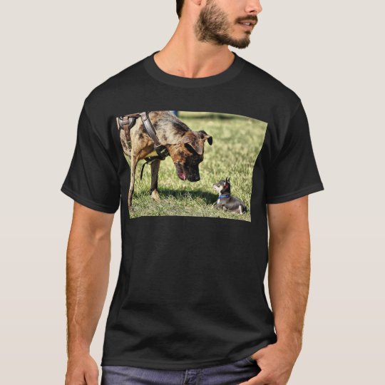 What are you looking at? T-Shirt