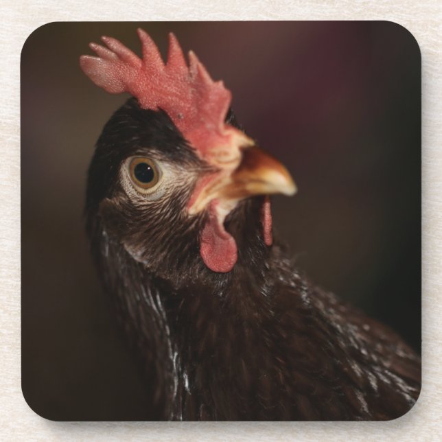 What Beverage Coaster (Front)