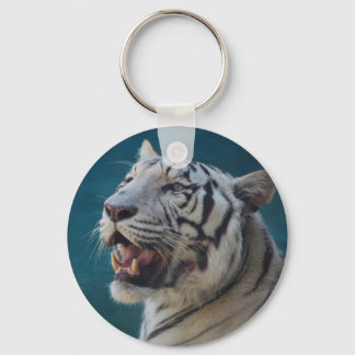 What big teeth you have! keychain